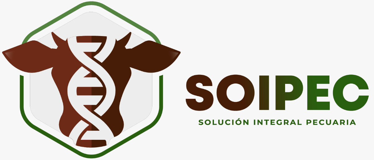 SOIPEC